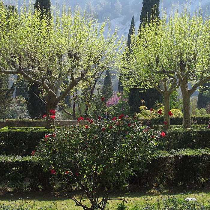 Photo de Visite de la Serre de la Madone