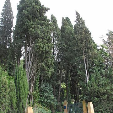 Serre de la Madone à Menton