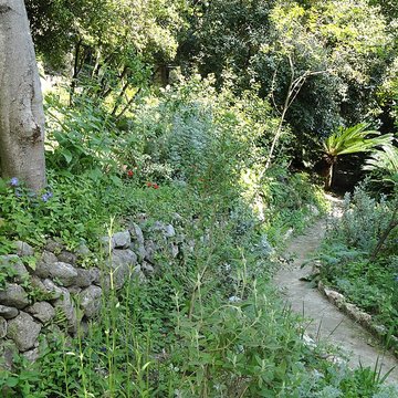Serre de la Madone à Menton