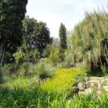 Serre de la Madone à Menton
