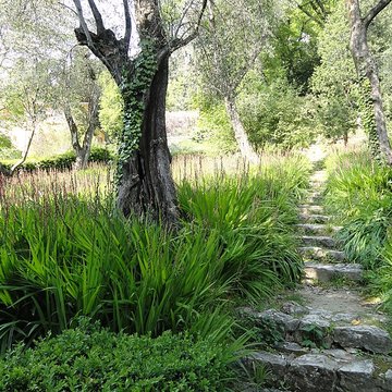 Serre de la Madone à Menton