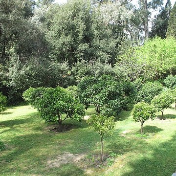 Serre de la Madone à Menton