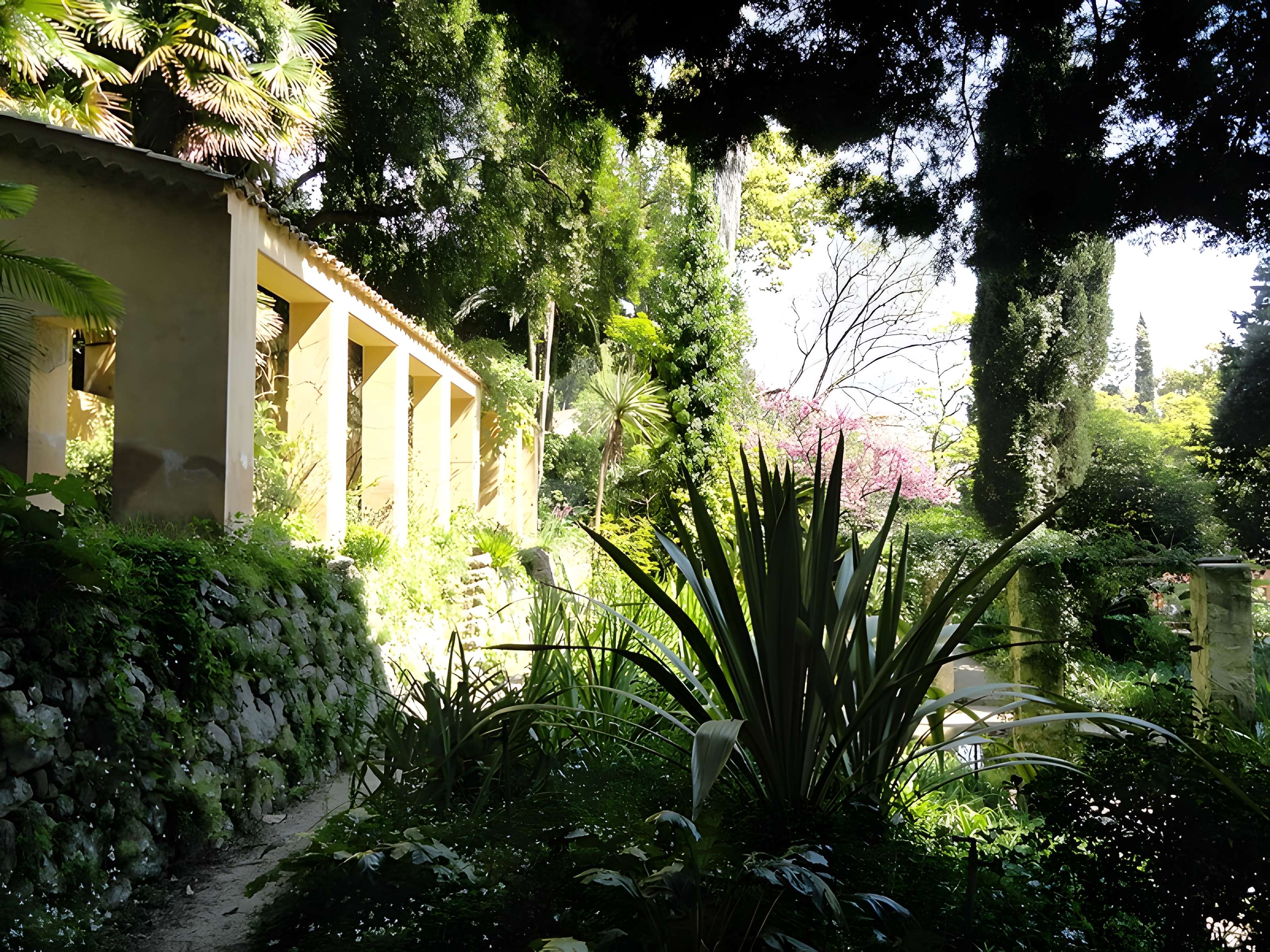 Serre de la Madone à Menton