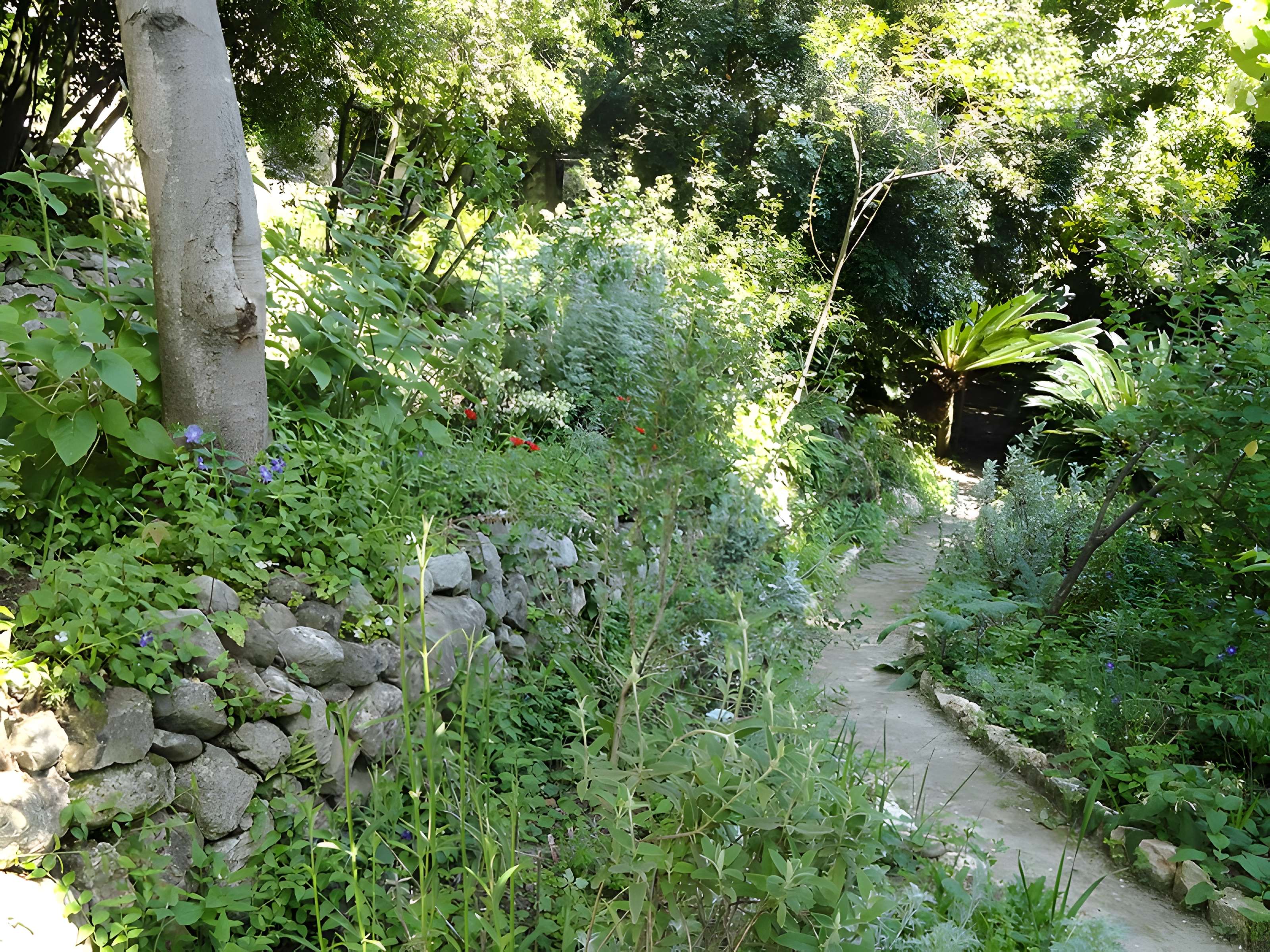 Serre de la Madone à Menton