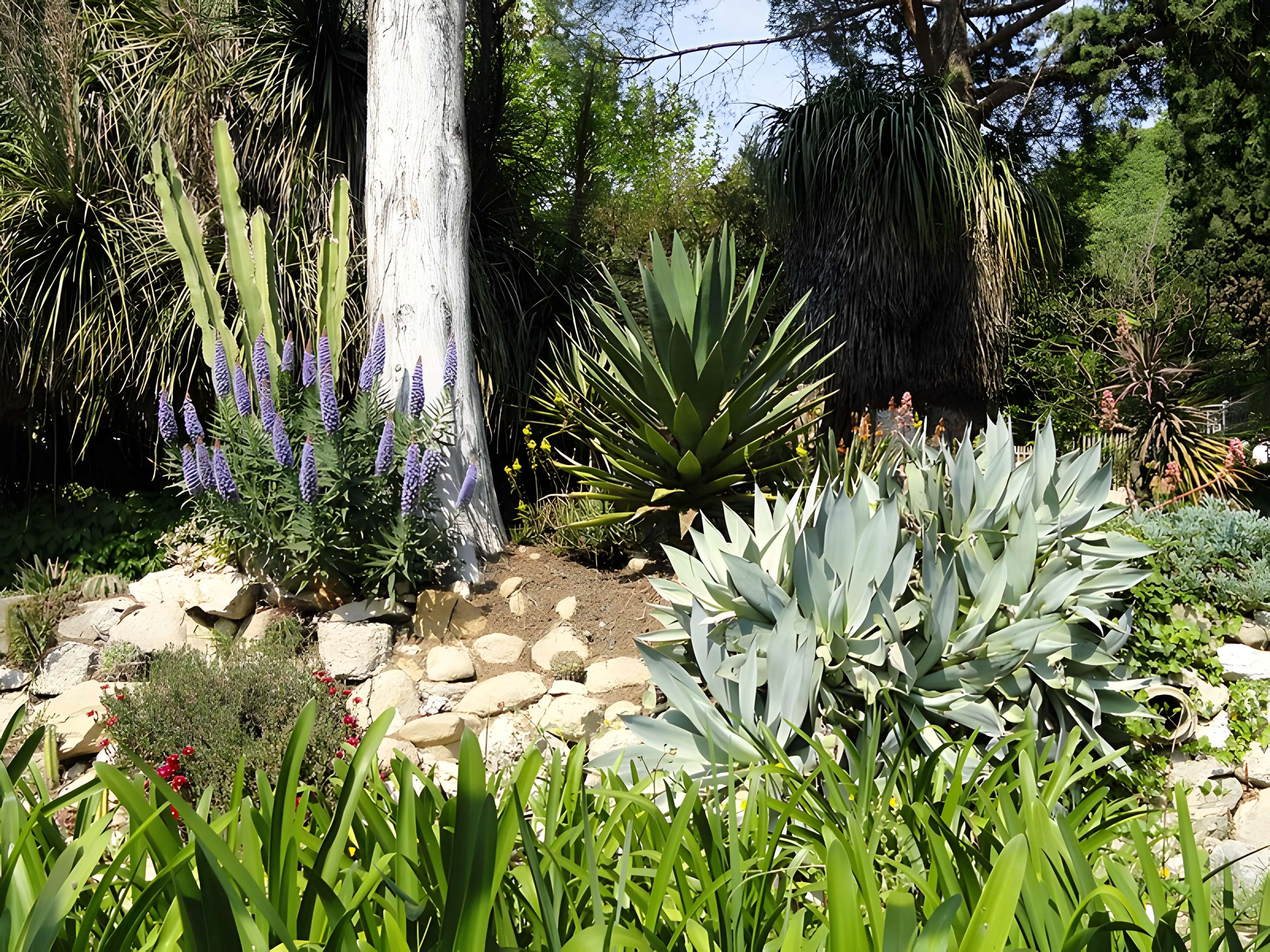 Serre de la Madone à Menton