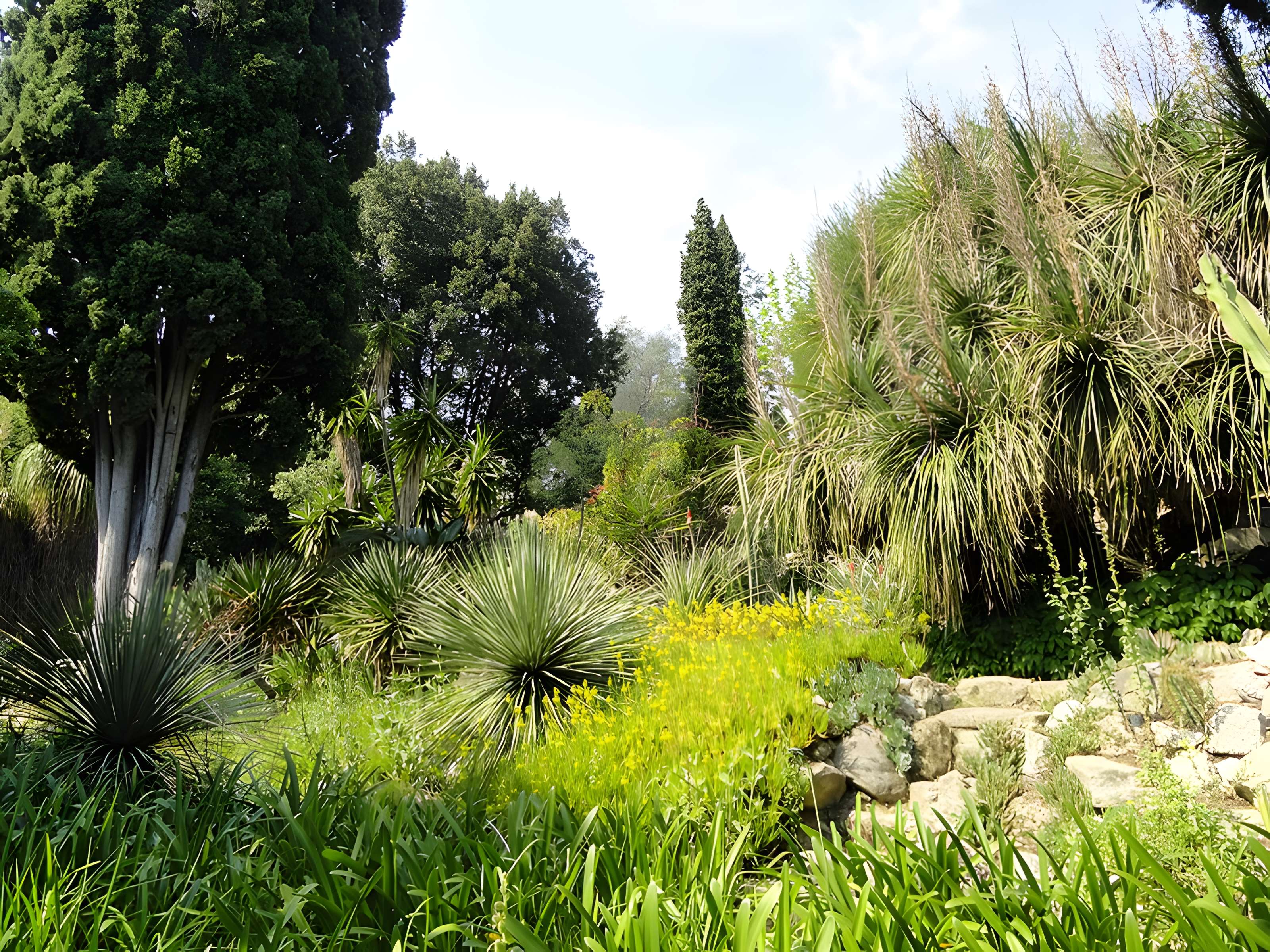 Serre de la Madone à Menton