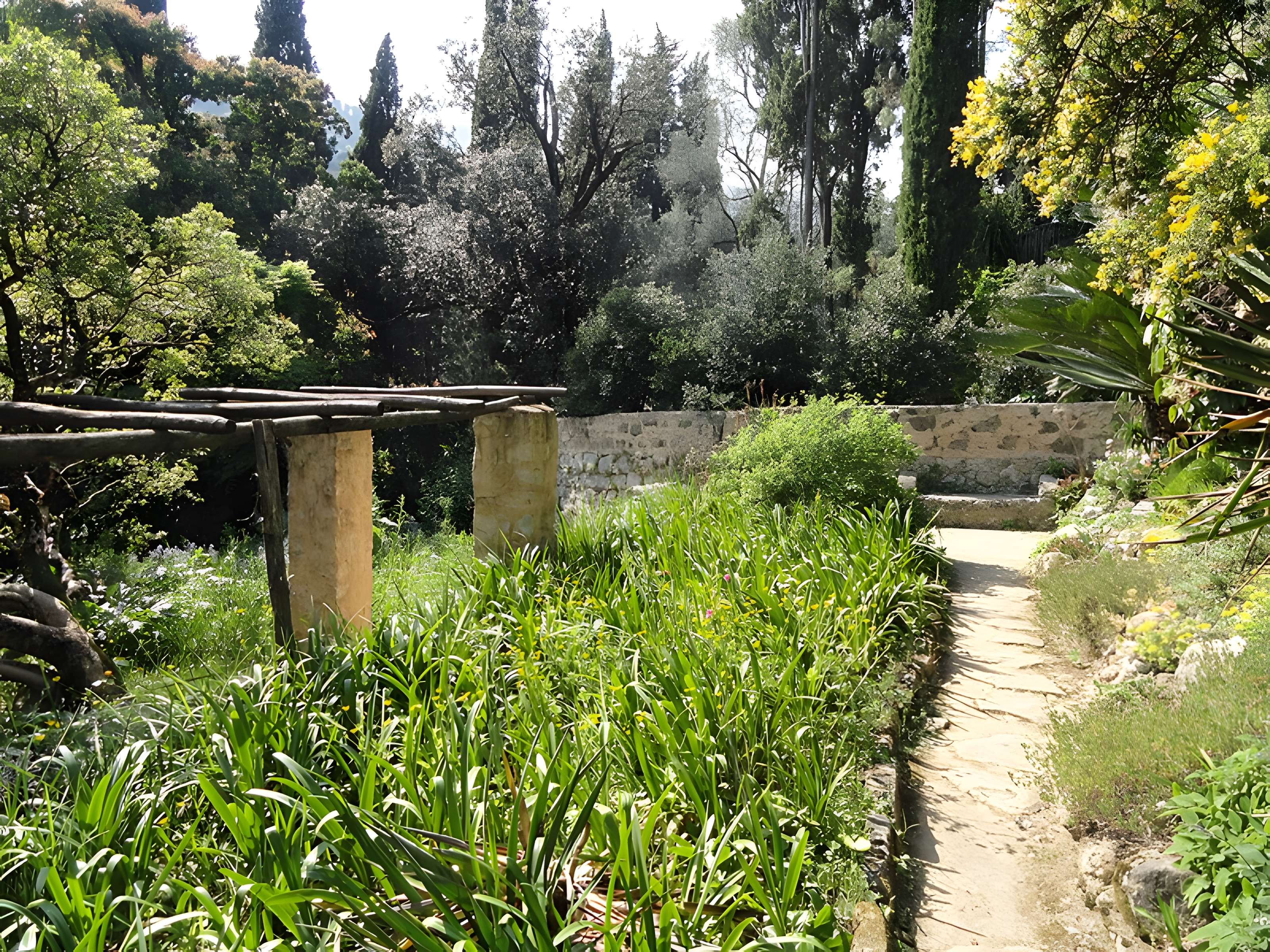 Serre de la Madone à Menton