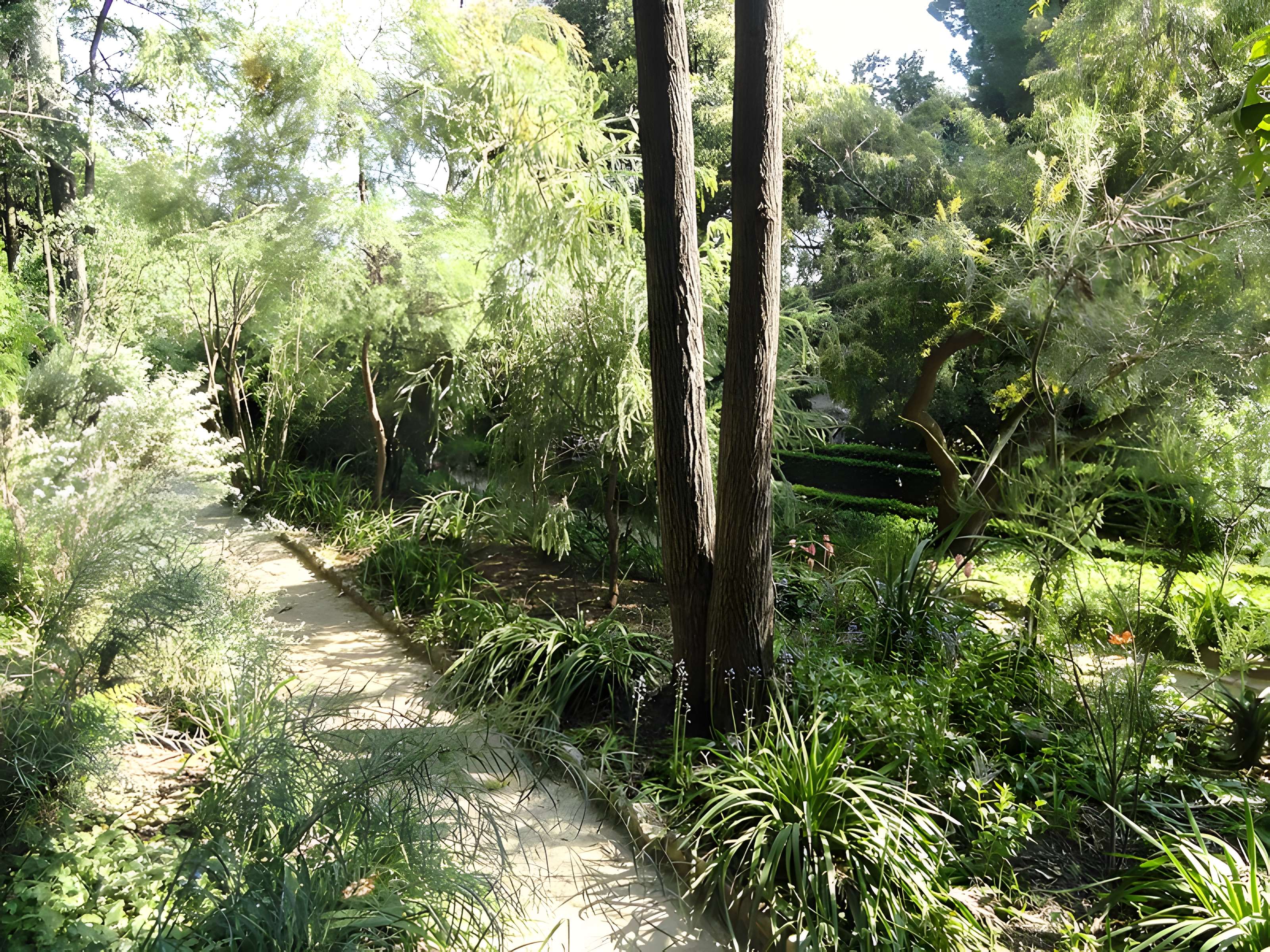 Serre de la Madone à Menton