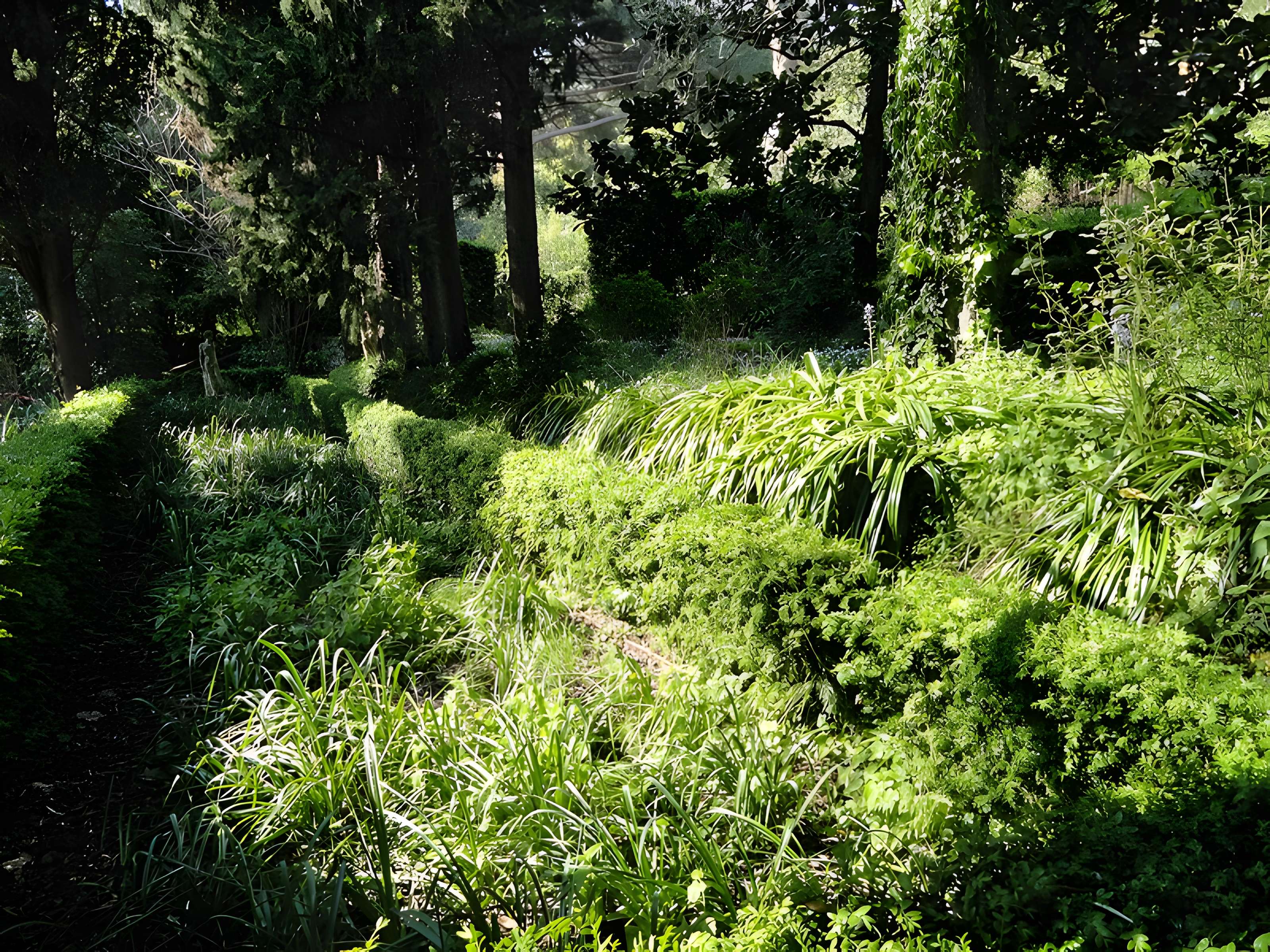 Serre de la Madone à Menton