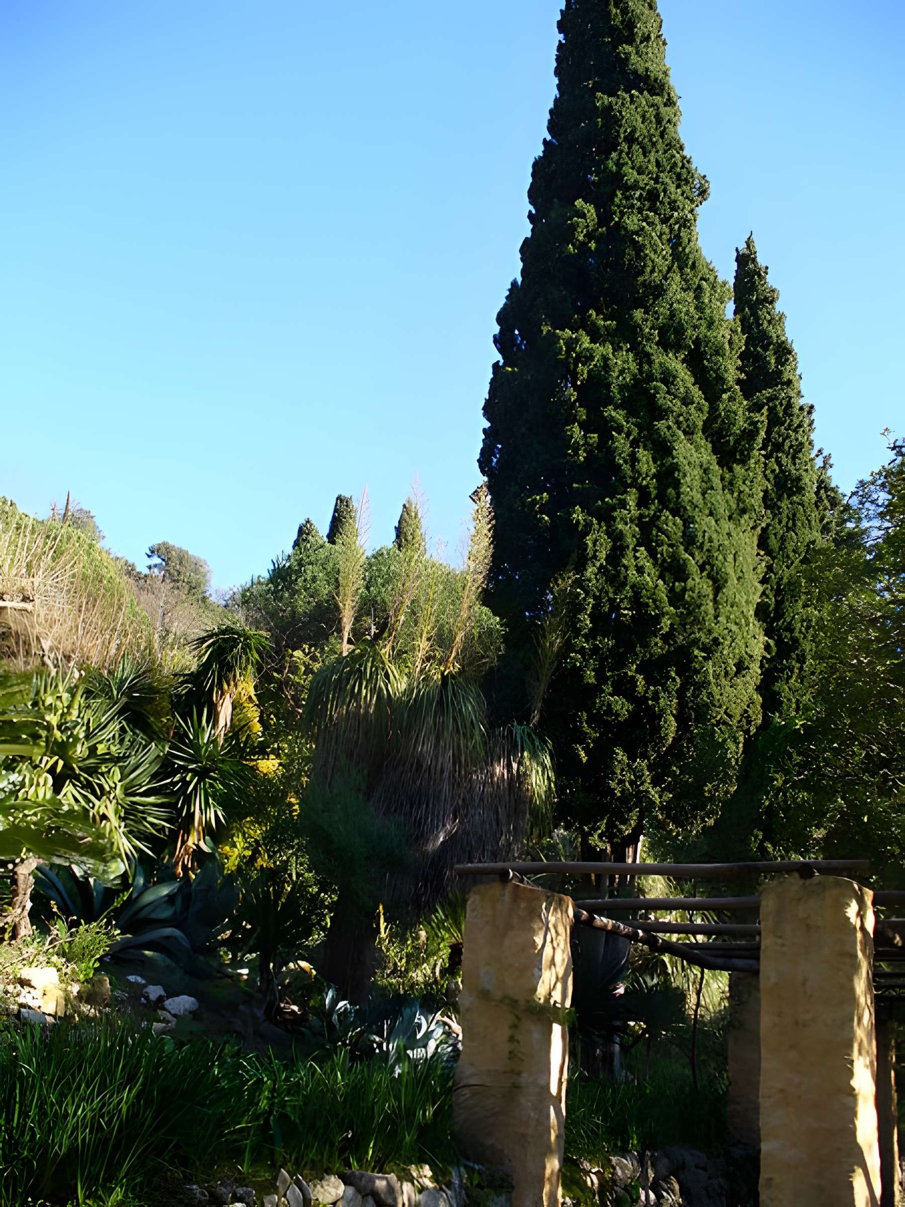 Serre de la Madone à Menton