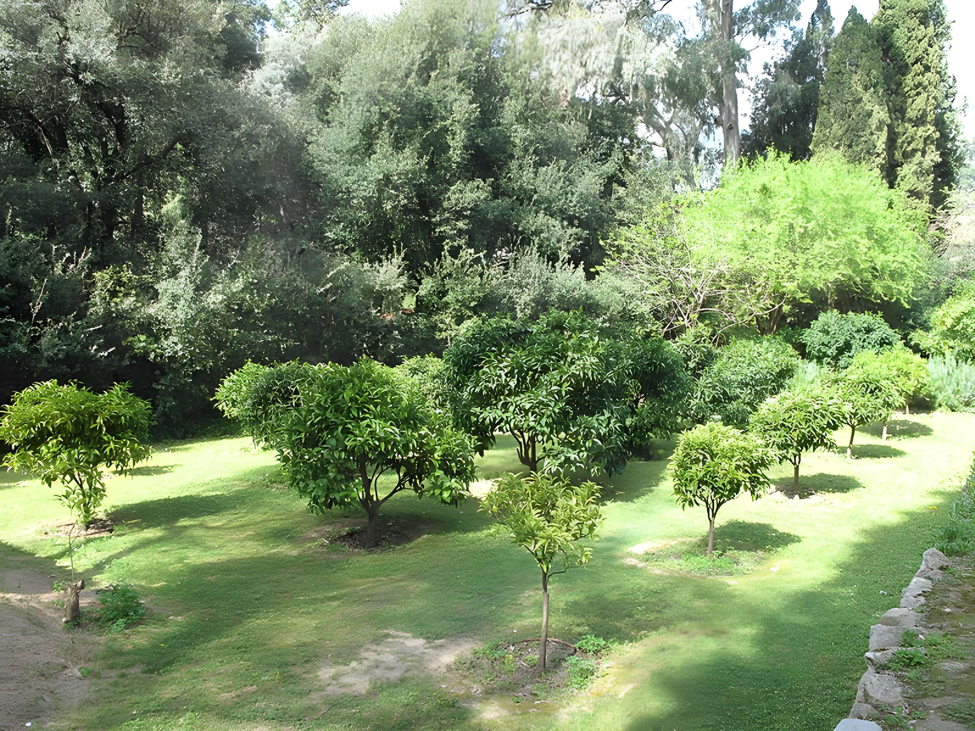 Serre de la Madone à Menton