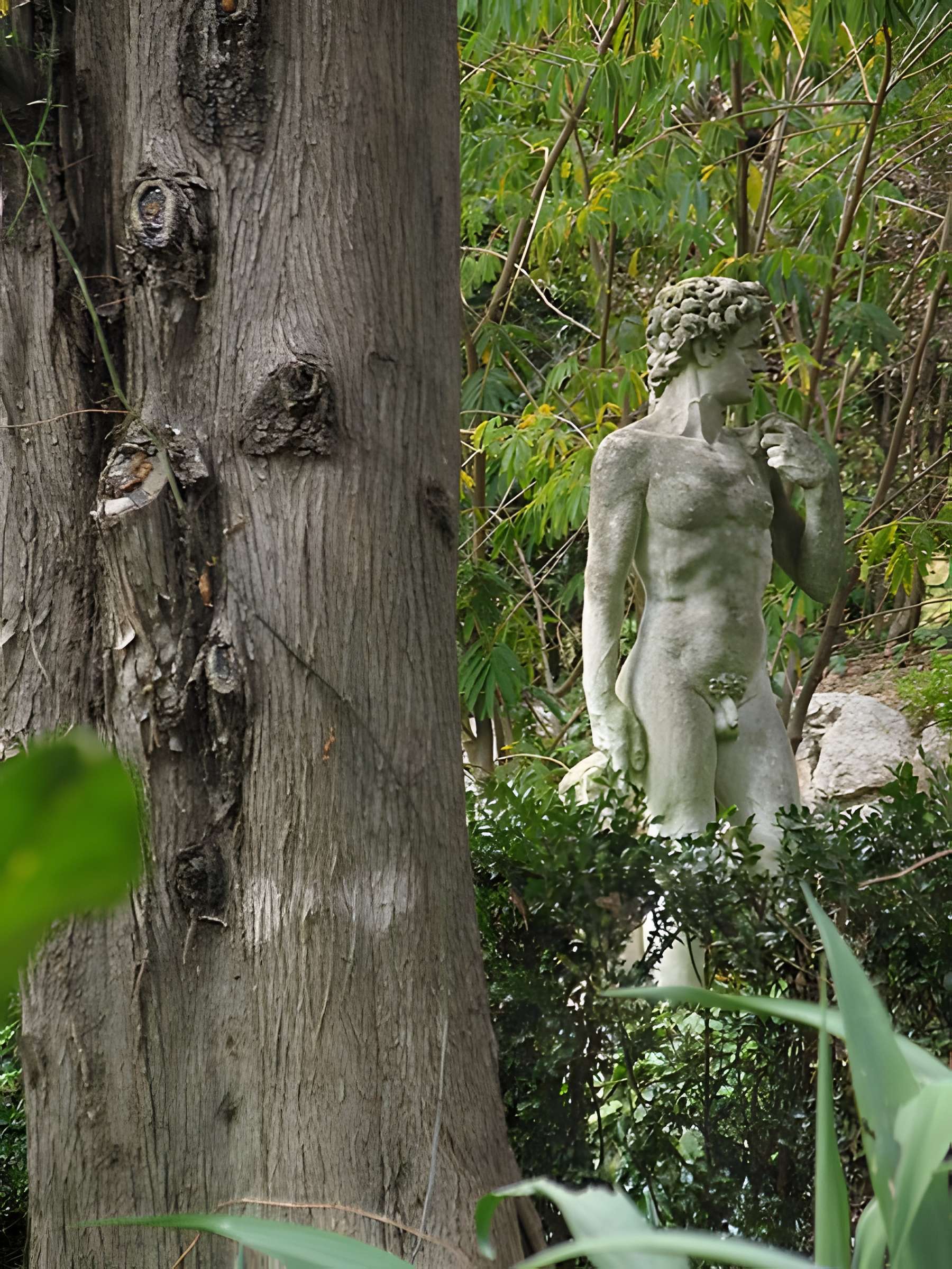 Serre de la Madone à Menton