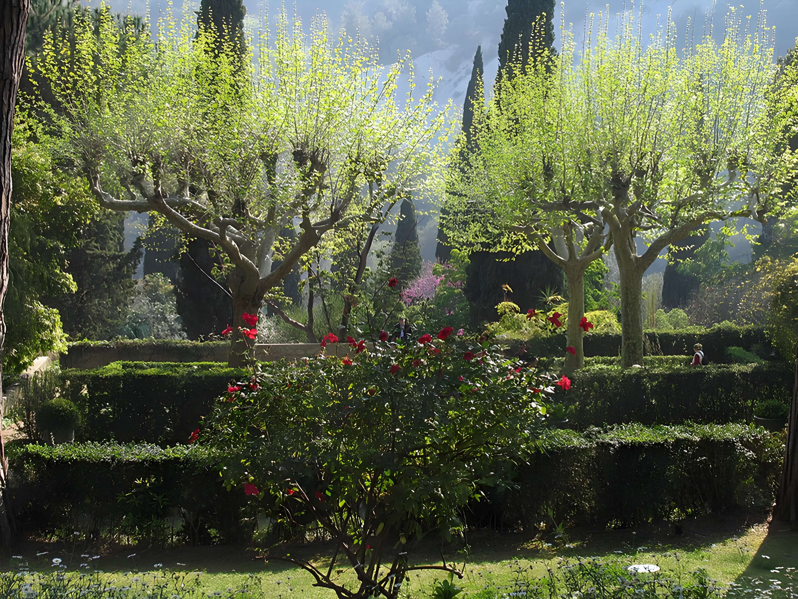 Serre de la Madone à Menton