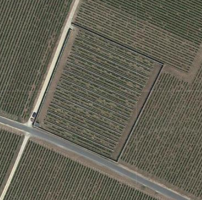 Photo de Clos de vigne dénommé Clos d'entre les Murs