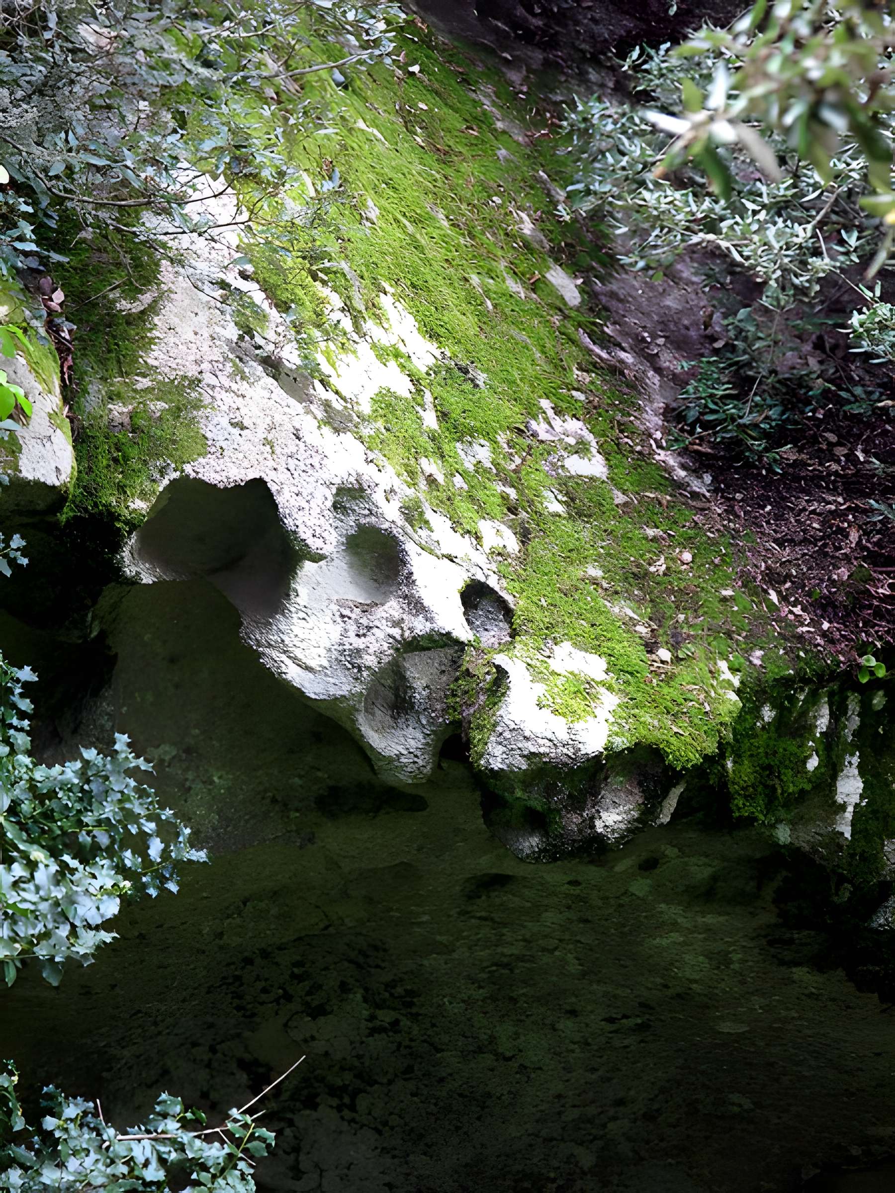 Site archéologique de Capula à Levie