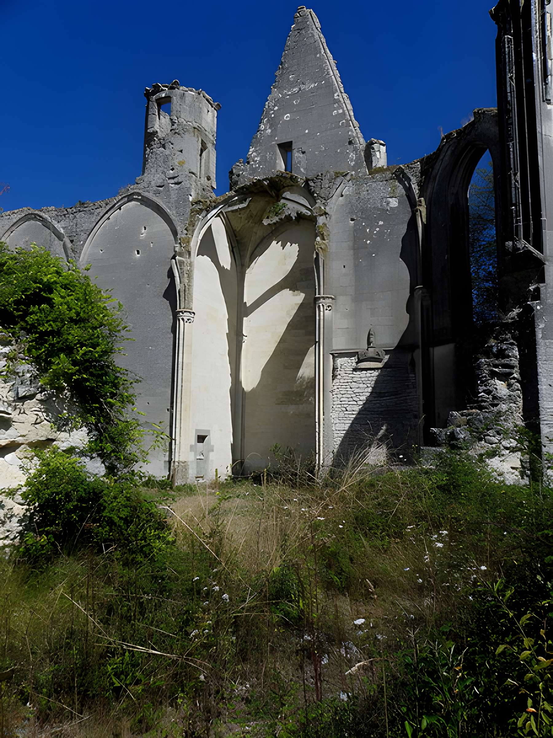 Collégiale des Roches-Tranchelion à Avon-les-Roches