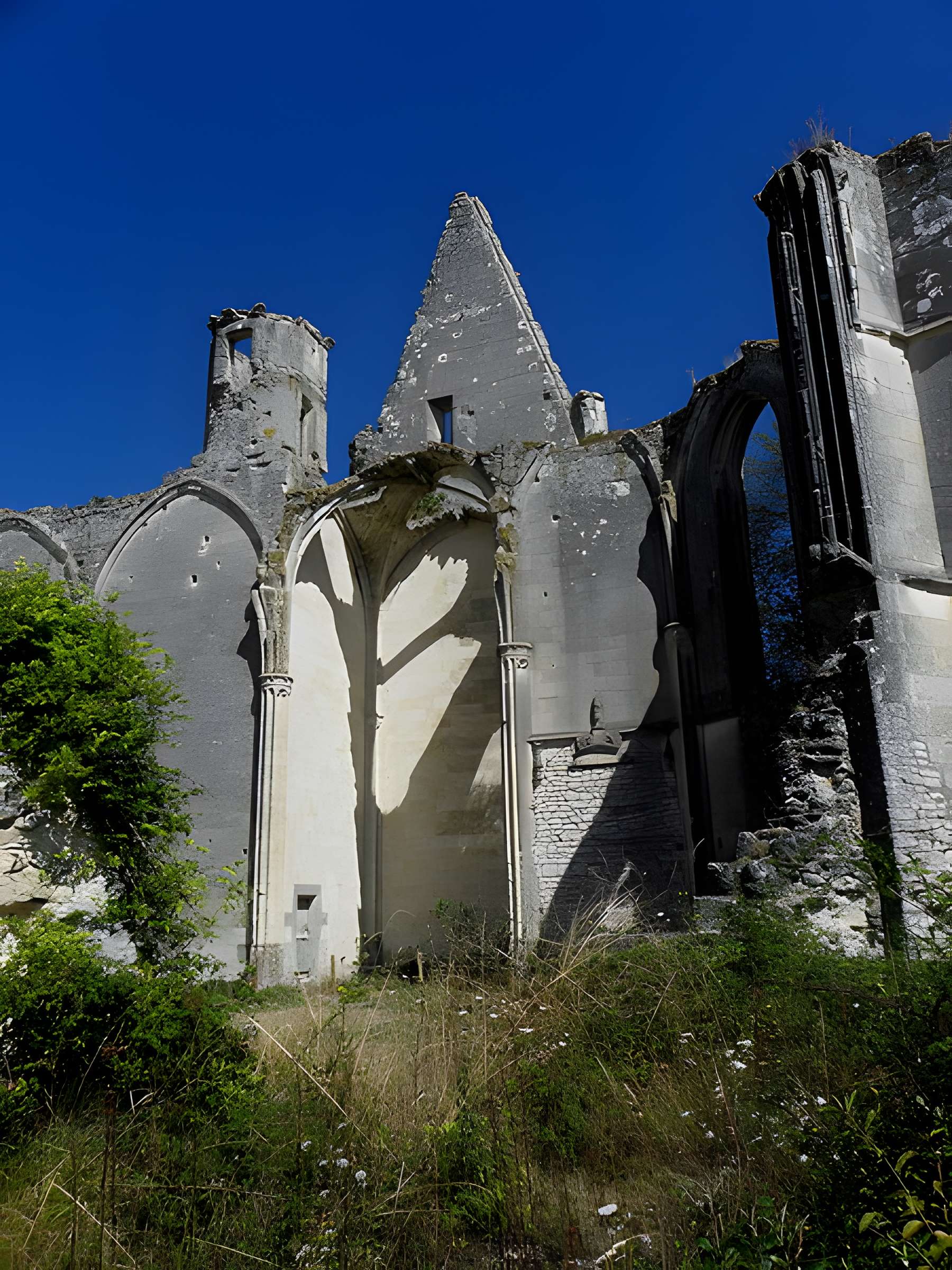 Collégiale des Roches-Tranchelion à Avon-les-Roches