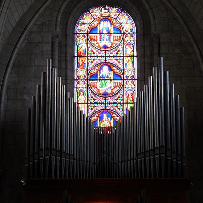 Photo de Collégiale Saint-Denis dAmboise