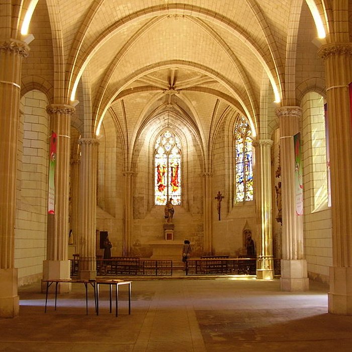 Photo de Collégiale Saint-Denis dAmboise