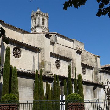 Collégiale Sainte-Croix de Montélimar
