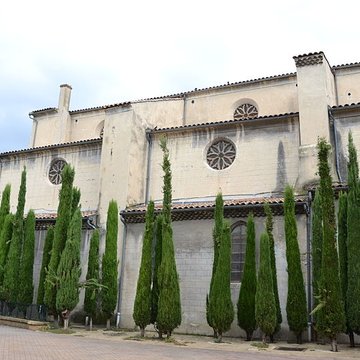 Collégiale Sainte-Croix de Montélimar