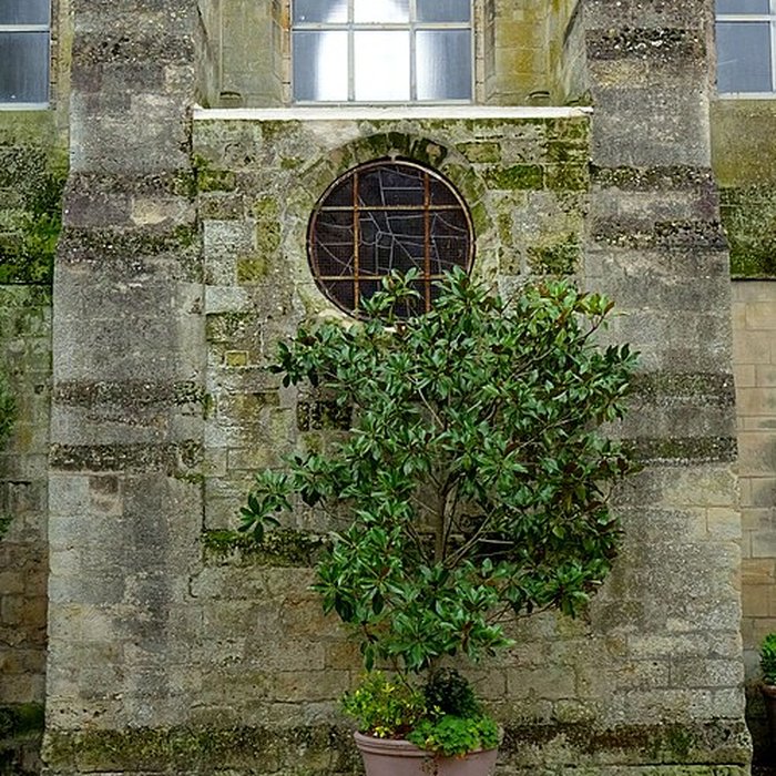 Photo de Collégiale Saint-Frambourg de Senlis