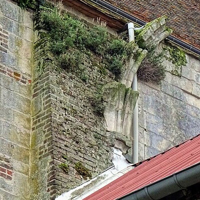 Photo de Collégiale Saint-Frambourg de Senlis