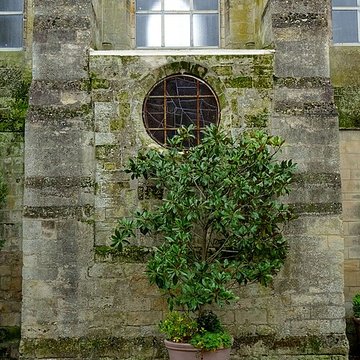 Collégiale Saint-Frambourg de Senlis