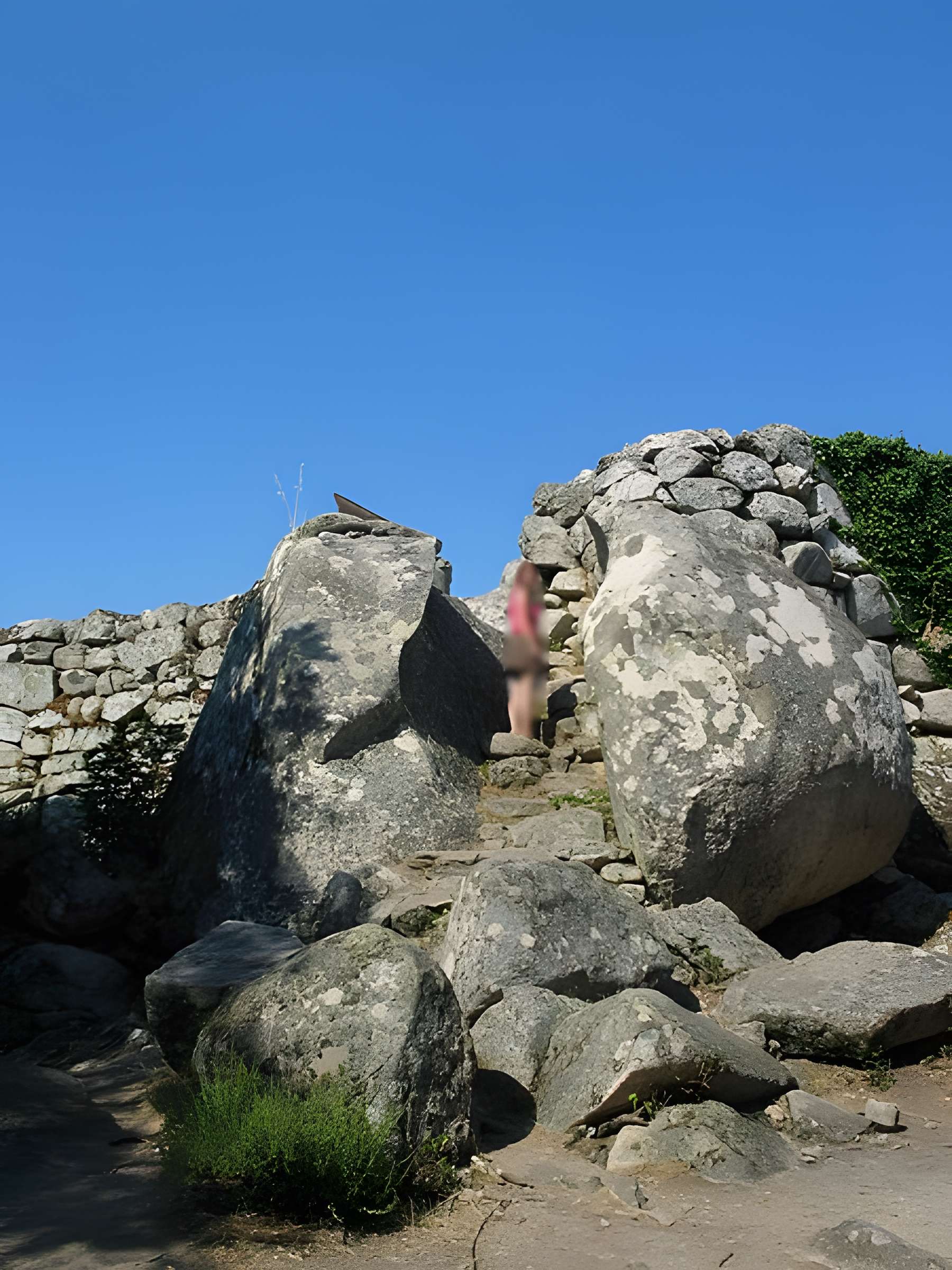 Site archéologique de Cucuruzzu à Levie