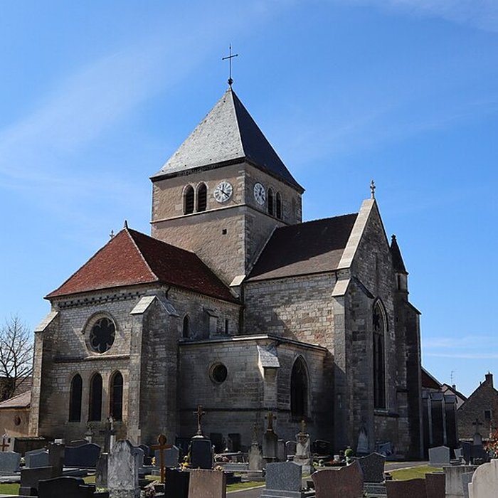 Photo de Collégiale Saint-Jean-Baptiste de Rouvres-en-Plaine