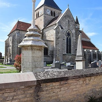 Collégiale Saint-Jean-Baptiste de Rouvres-en-Plaine