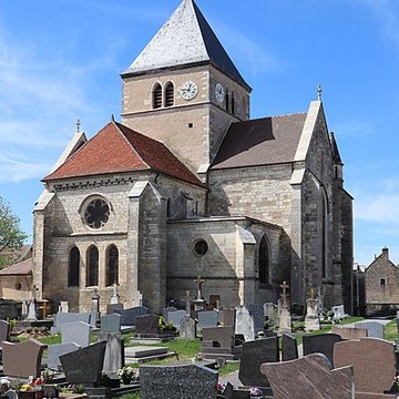 Collégiale Saint-Jean-Baptiste de Rouvres-en-Plaine