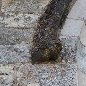 Collégiale Saint-Jean-Baptiste de Rouvres-en-Plaine