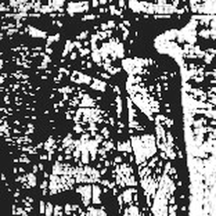 Photo de Vestiges de lancienne collégiale Saint-Pierre