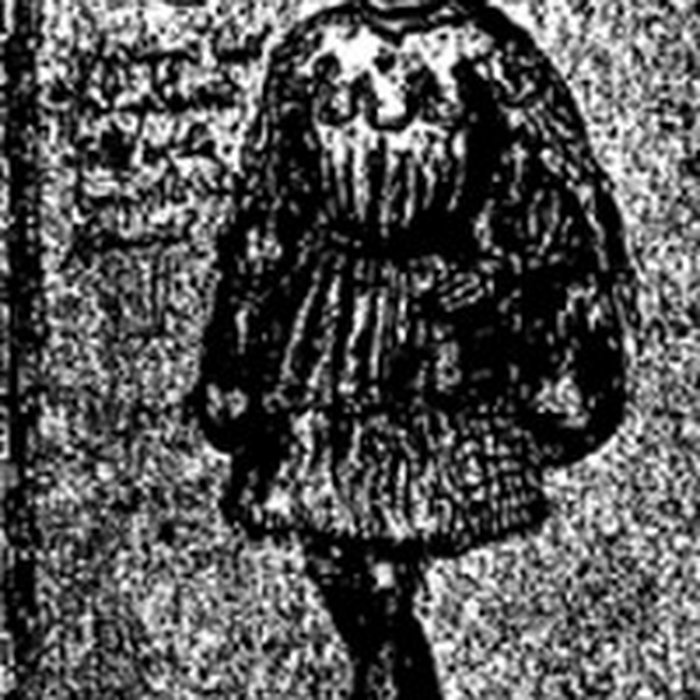 Photo de Vestiges de lancienne collégiale Saint-Pierre