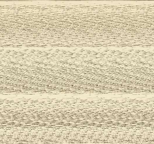 Vestiges de l'ancienne collégiale Saint-Pierre