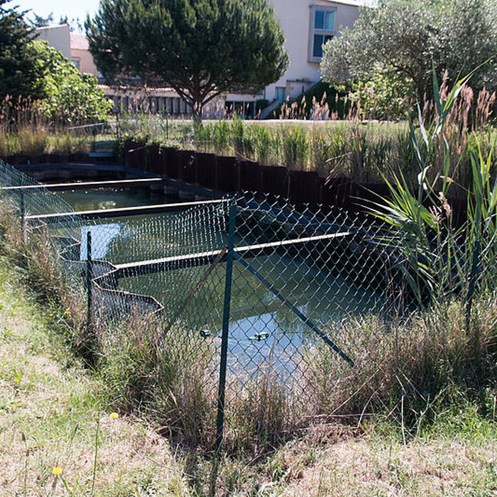 Photo de Site archéologique de Lattara à Lattes