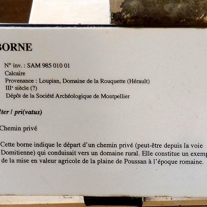 Photo de Site archéologique de Lattara à Lattes