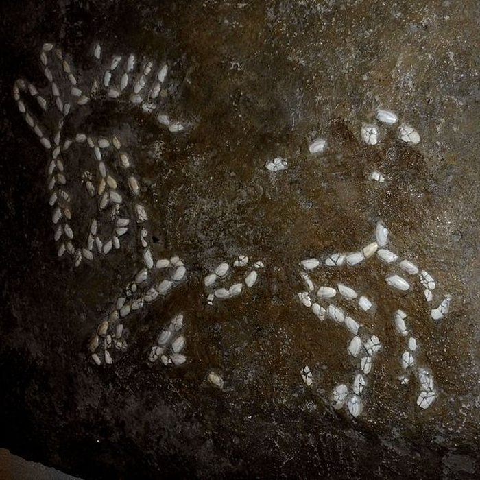 Photo de Site archéologique de Lattara à Lattes