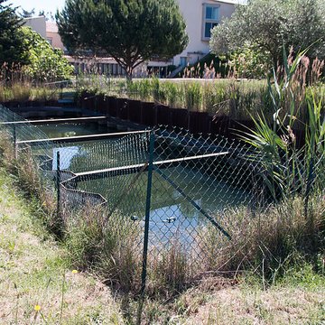 Site archéologique de Lattara à Lattes