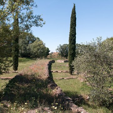 Site archéologique de Lattara à Lattes