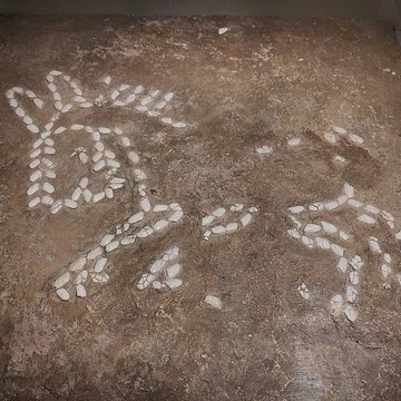 Site archéologique de Lattara à Lattes