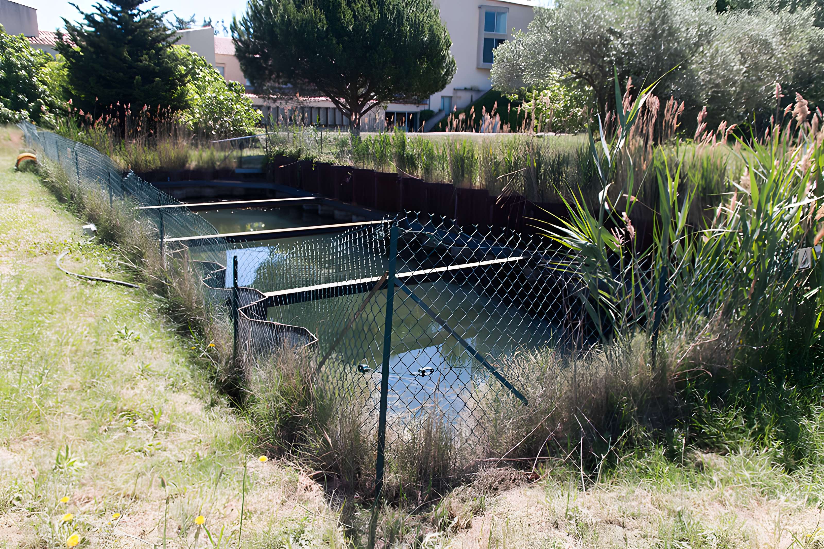 Site archéologique de Lattara à Lattes