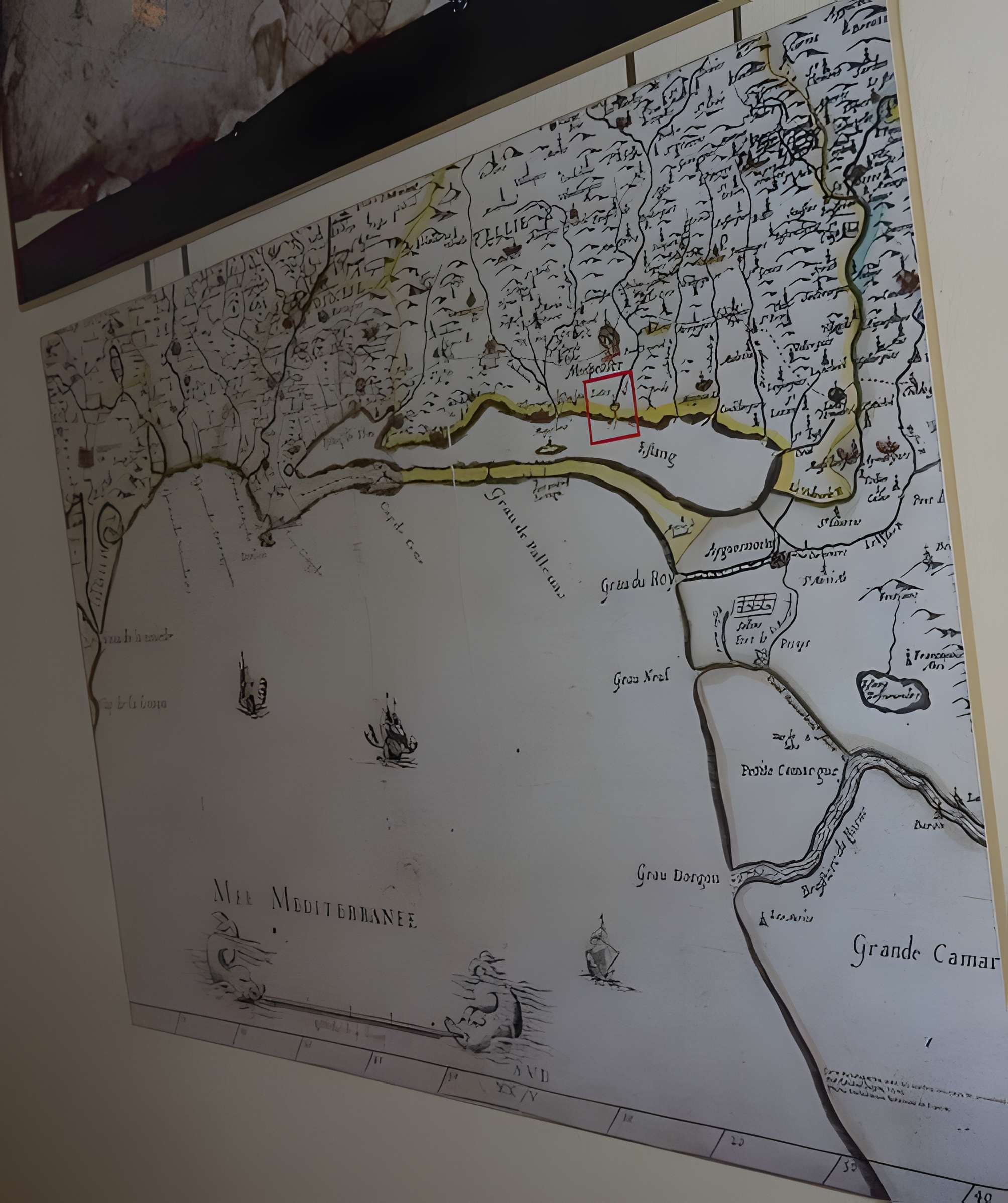 Site archéologique de Lattara à Lattes