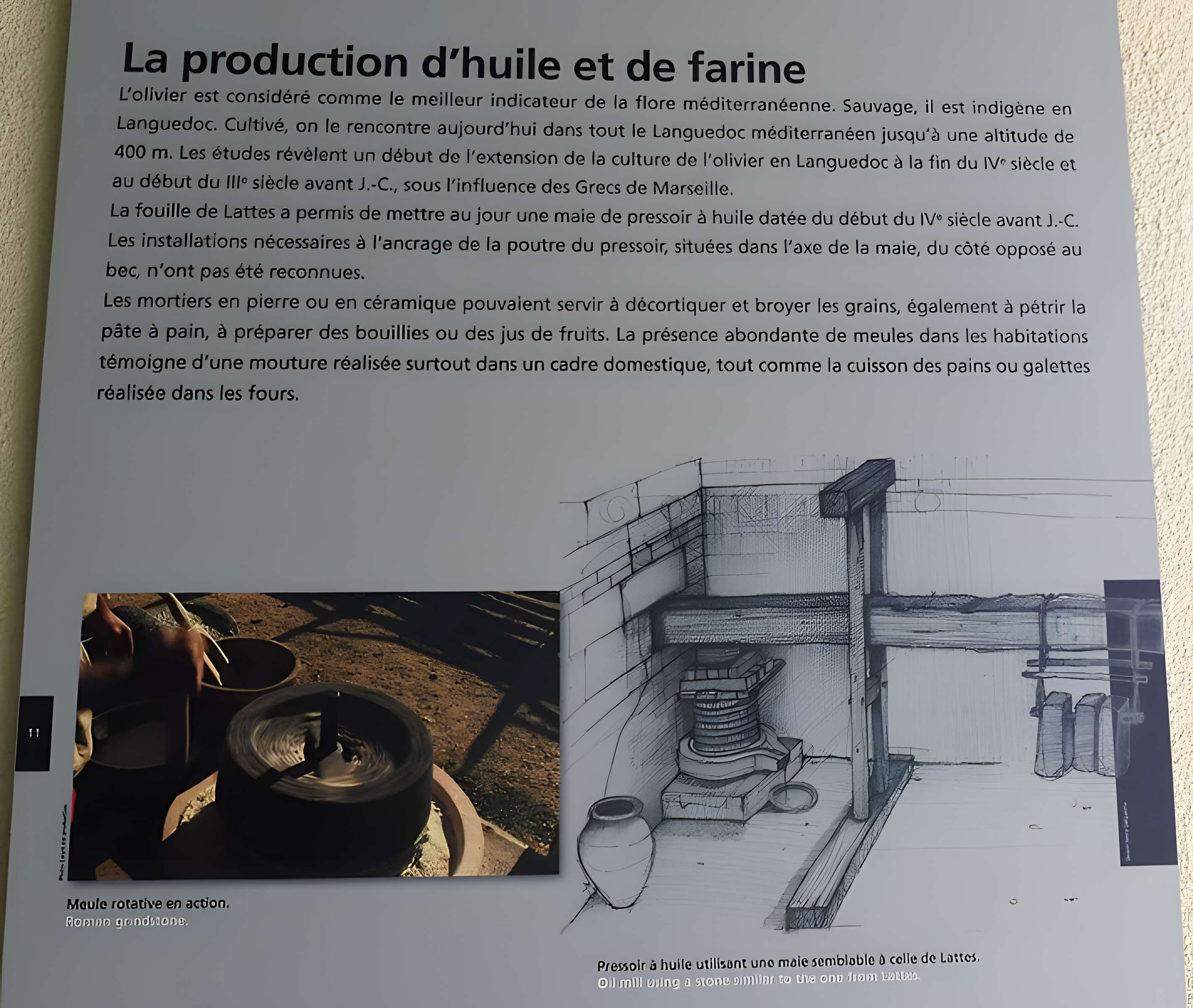 Site archéologique de Lattara à Lattes