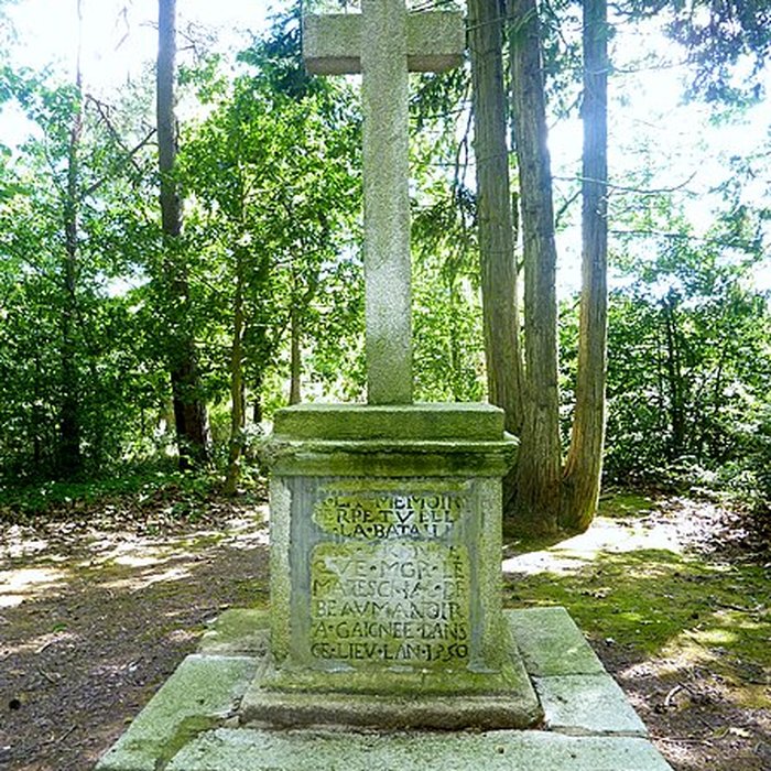 Photo de Colonne des Trente de Guillac