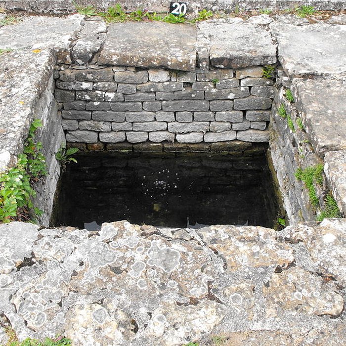 Photo de Ruines gallo-romaines des Fontaines Salées également sur commune de Saint-Père