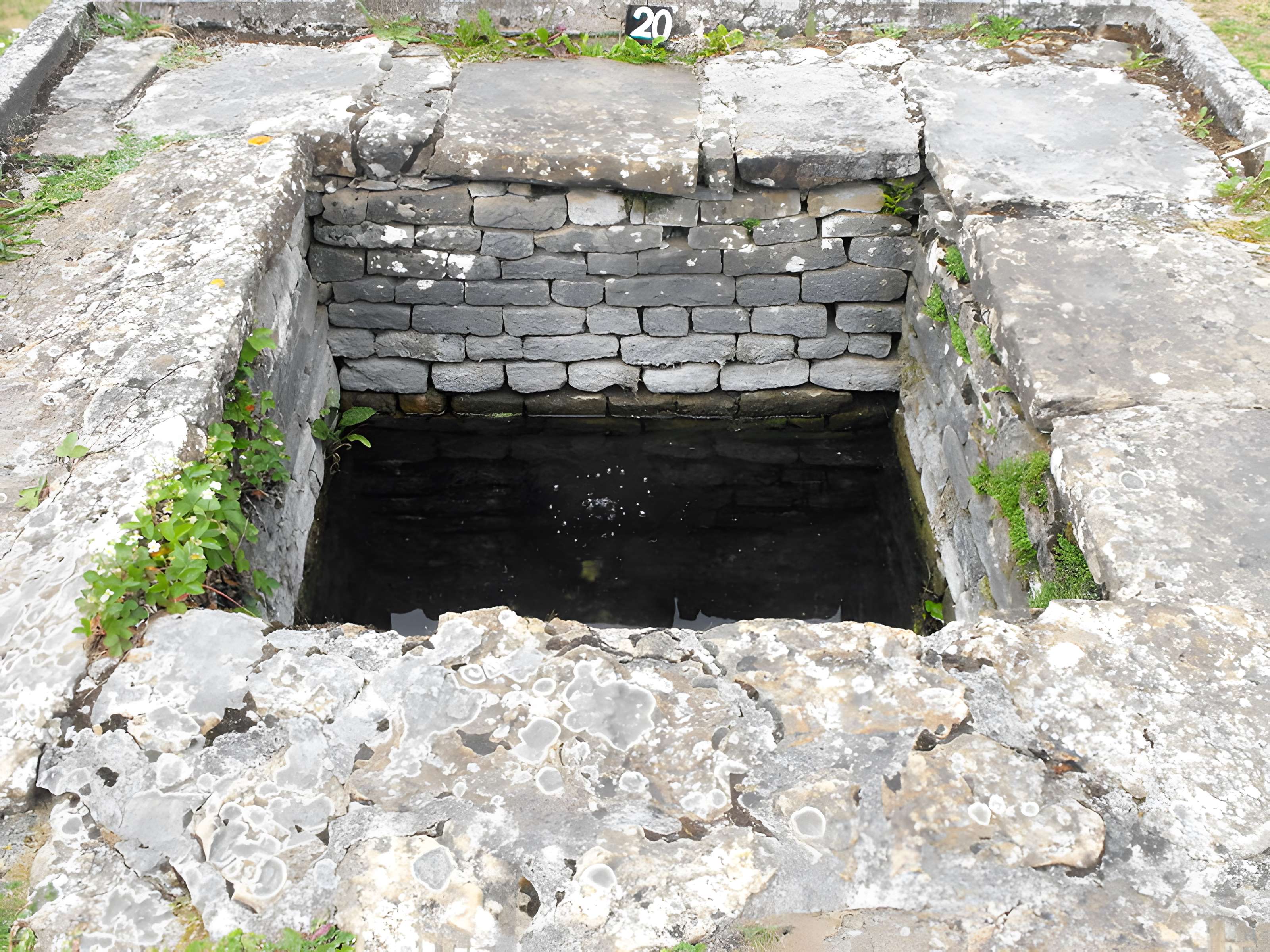 Ruines gallo-romaines des Fontaines Salées (également sur commune de Saint-Père)