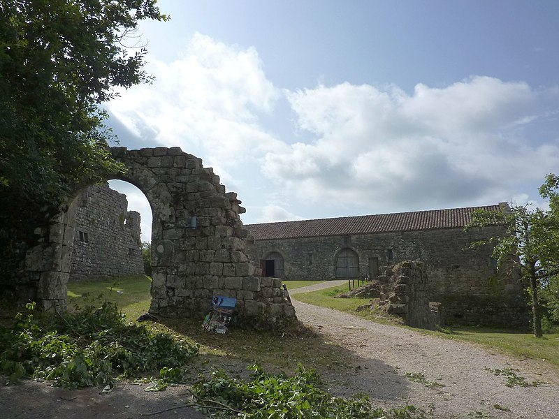 Commanderie de Vaour