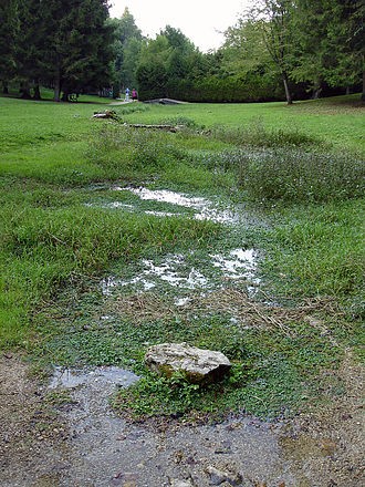 Photo de Sources de la Seine à Poncey-sur-l'Ignon